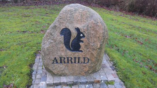 Information om udvikling af Ny Vindpark Arrild